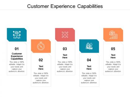 Customer experience capabilities ppt powerpoint presentation layouts vector cpb