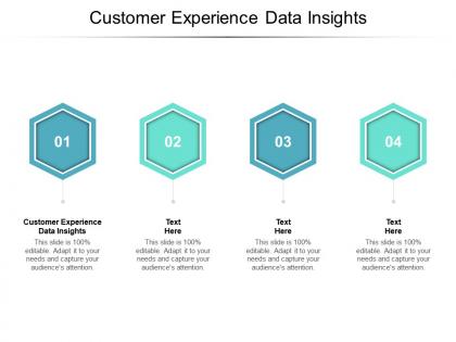 Customer experience data insights ppt powerpoint presentation summary cpb