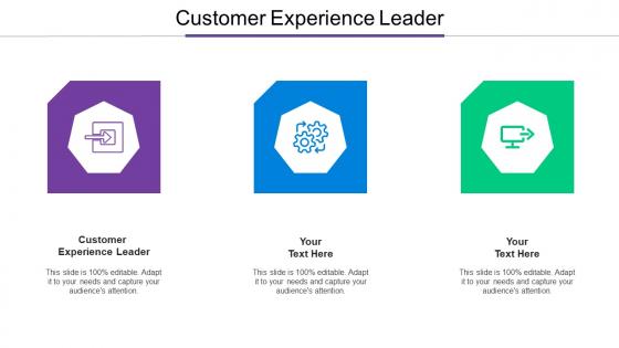 Customer Experience Leader Ppt Powerpoint Presentation Infographic Template Information Cpb