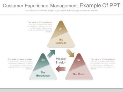 Customer experience management example of ppt