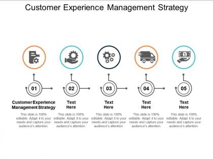 Customer experience management strategy ppt powerpoint presentation gallery grid cpb