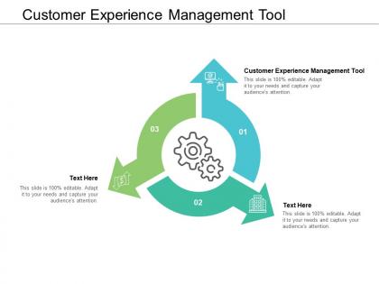 Customer experience management tool ppt powerpoint presentation outline good cpb