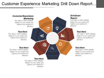 Customer experience marketing drill down report email marketing solutions cpb