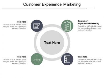 Customer experience marketing ppt powerpoint presentation file formats cpb