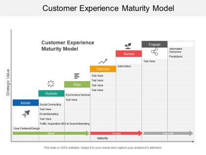 Customer experience maturity model