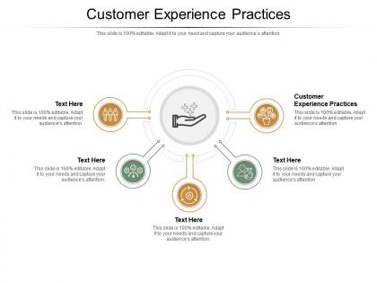 Customer experience practices ppt powerpoint presentation pictures good cpb