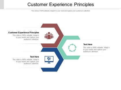 Customer experience principles ppt powerpoint presentation styles graphics cpb
