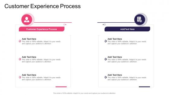 Customer Experience Process In Powerpoint And Google Slides Cpb