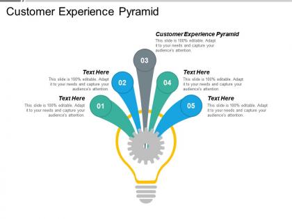 Customer experience pyramid ppt powerpoint presentation gallery icons cpb