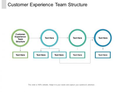 Customer experience team structure ppt powerpoint presentation layouts cpb
