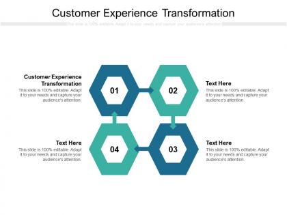 Customer experience transformation ppt powerpoint presentation pictures diagrams cpb