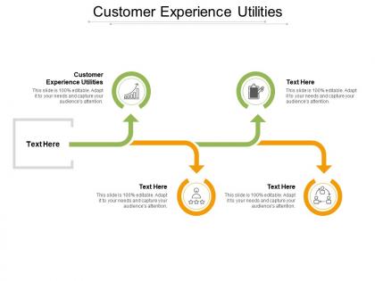 Customer experience utilities ppt powerpoint presentation portfolio vector cpb