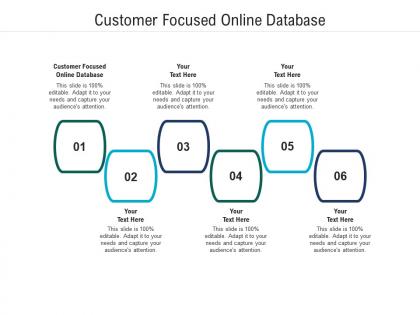 Customer focused online database ppt powerpoint presentation model good cpb