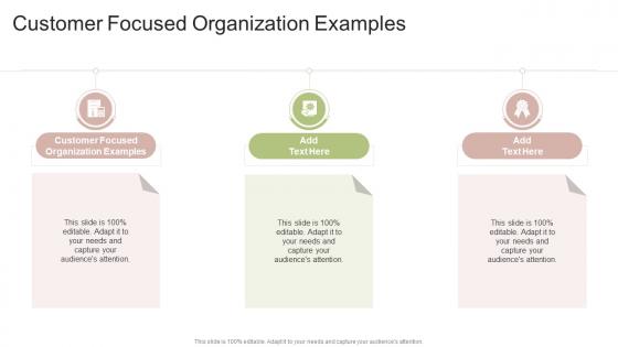 Customer Focused Organization Examples In Powerpoint And Google Slides Cpb