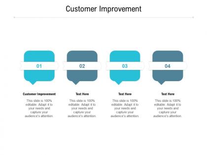 Customer improvement ppt powerpoint presentation portfolio graphics design cpb