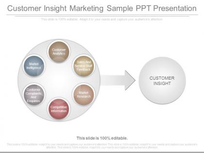 Customer insight marketing sample ppt presentation
