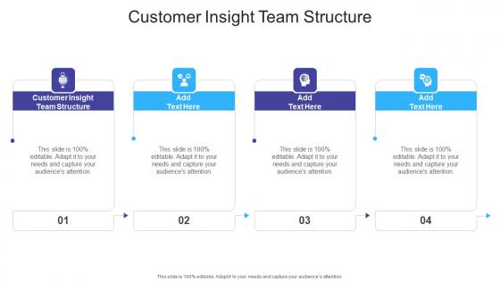 Customer Insight Team Structure In Powerpoint And Google Slides Cpb