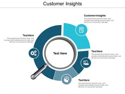 Customer insights ppt powerpoint presentation file slide download cpb
