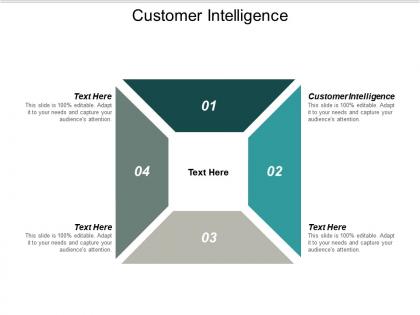 Customer intelligence ppt powerpoint presentation summary example topics cpb