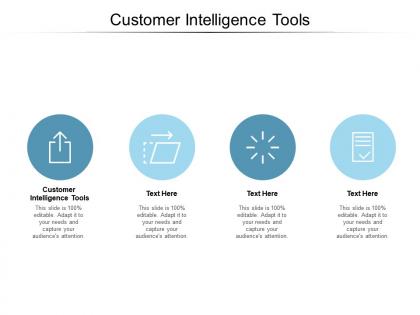 Customer intelligence tools ppt powerpoint presentation pictures clipart cpb