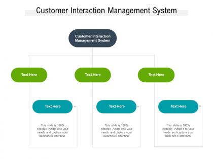 Customer interaction management system ppt powerpoint presentation infographic template cpb