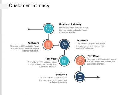 Customer intimacy ppt powerpoint presentation ideas graphic images cpb