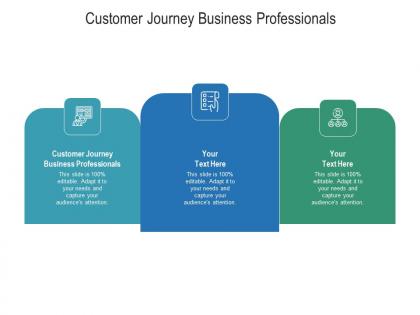 Customer journey business professionals ppt powerpoint presentation show file formats cpb