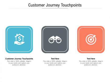 Customer journey touchpoints ppt powerpoint presentation infographics icons cpb