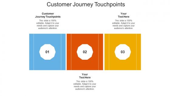 Customer journey touchpoints ppt powerpoint presentation styles sample cpb