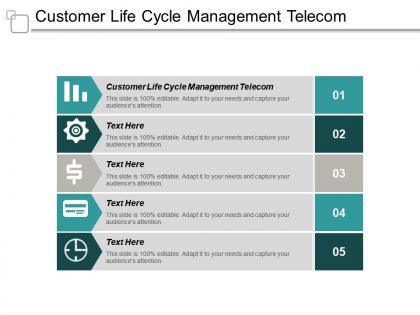 Customer life cycle management telecom ppt powerpoint presentation inspiration display cpb