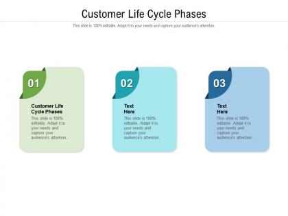 Customer life cycle phases ppt powerpoint presentation summary cpb