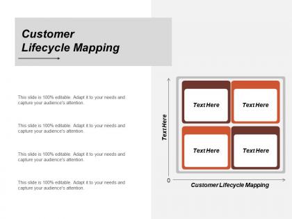 Customer lifecycle mapping ppt powerpoint presentation icon summary cpb