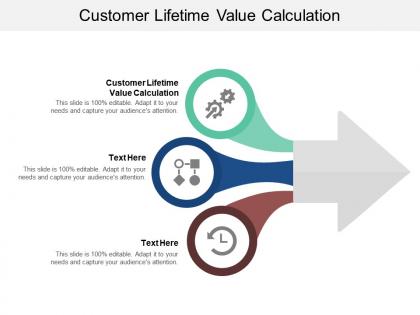 Customer lifetime value calculation ppt powerpoint presentation styles design templates cpb