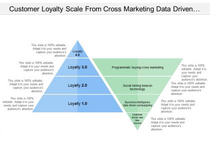 Customer loyalty scale from cross marketing data driven campaigning