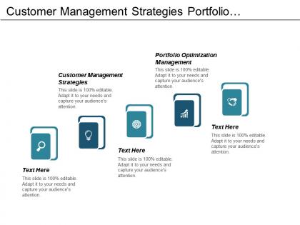 Customer management strategies portfolio optimization management lean transformation management cpb