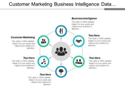 Customer marketing business intelligence data transformation working capital strategy cpb