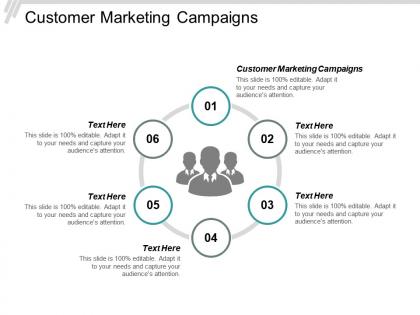 Customer marketing campaigns ppt powerpoint presentation icon visual aids cpb