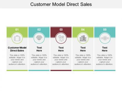 Customer model direct sales ppt powerpoint presentation portfolio introduction cpb