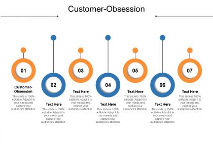 Customer obsession ppt powerpoint presentation professional infographic template cpb