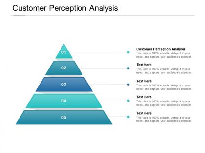 Customer perception analysis ppt powerpoint presentation file sample cpb