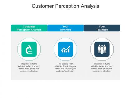 Customer perception analysis ppt powerpoint presentation professional background cpb