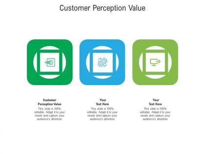 Customer perception value ppt powerpoint presentation layouts templates cpb