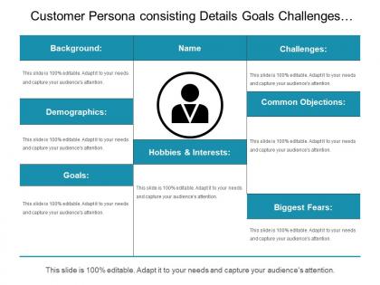 Customer persona consisting details goals challenges common objectives