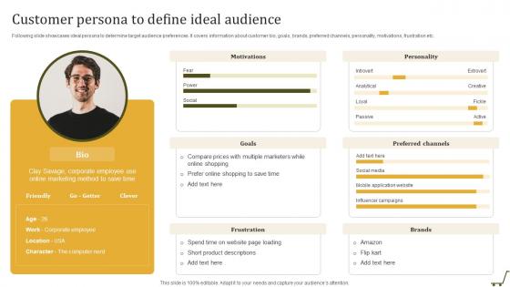 Customer Persona To Define Ideal Audience Utilizing Online Shopping Website To Increase Sales