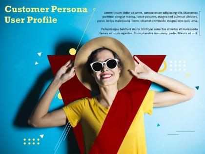 Customer persona user profile target consumer
