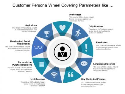 Customer persona wheel covering parameters like aspirations preferences daily routines and pain points