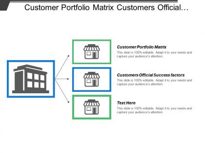 Customer portfolio matrix customers official success factors strategies manage relationship