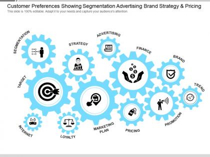 Customer preferences showing segmentation advertising brand strategy and pricing