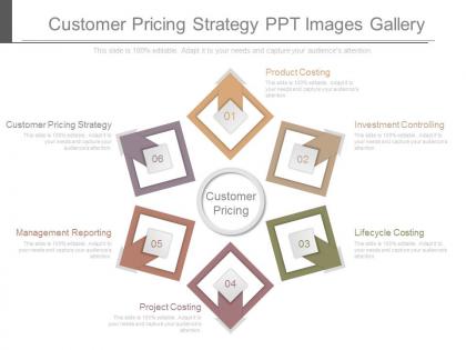 Customer pricing strategy ppt images gallery