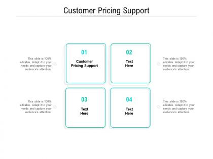 Customer pricing support ppt powerpoint presentation show outfit cpb